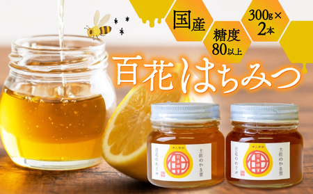 国産 はちみつ 300g×2本  ハチミツ ハチミツ ハチミツ ハチミツ AWA001