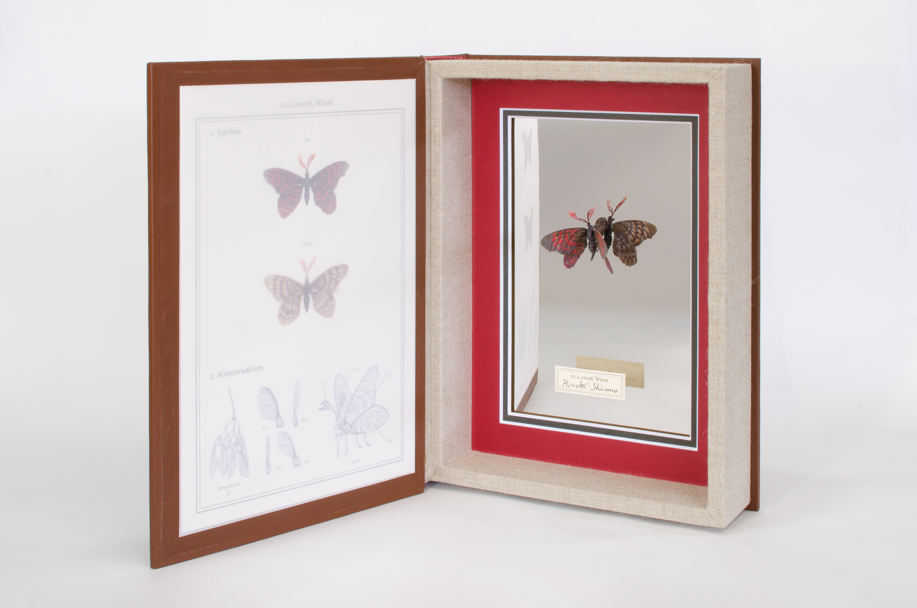 
            京都の芸術 立体造形作品 昆虫型植物レジンアート (作品名 Re：12.2.2008,Wien.Österreich 新野 洋 / Hiroshi SHINNO ) レジン芸術作品 芸術作品 植物 昆虫 芸術品 美術品 美術 アート 芸術 京都 南山城村
          
