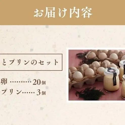 鳥骨鶏卵（20個）とプリン（3個）のセット たまご 烏骨鶏 プリン スイーツ お菓子 静岡県 森町