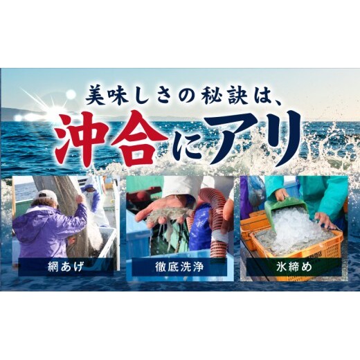 【期間限定】減塩 釜揚げしらす 1kg【小分け 200g×5P 漁師直送 シラス 国産 無添加 産地直送 sirasu 海鮮 しらす 鰯 イワシ いわし スピード発送】 G4947_イメージ2