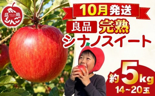 先行予約 贈答用 りんご 5kg シナノスイート 良品  <10月発送> 農家直送 果物 フルーツ 林檎 リンゴ シャキシャキ 国産 産地直送 くだもの デザート 特産品 ご当地 贈答 朝食 昼食 夕食 おやつ 新鮮 プレミアム 甘い 酸味 果汁 今が旬 旬 秋 おすすめ 美味しい ジューシー ringo apple 岩手県 盛岡市 東北 岩手 盛岡 田村ふぁーむ tamura012