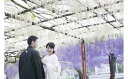 【ふるさと納税】JJ-47　和気町WEDDINGプラン（挙式料のみ）