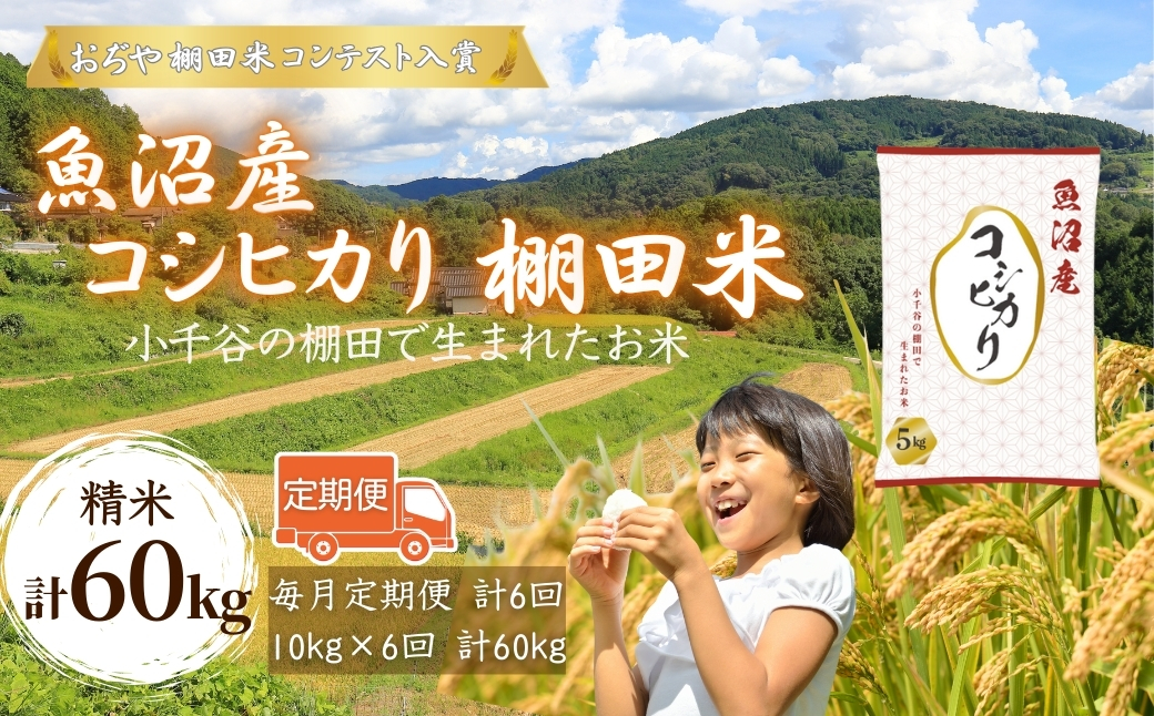 令和7年産 魚沼産コシヒカリ 棚田米 精米60kg(5kg×2袋×6回)定期便毎月発送【0002-RC09DB00-01】
