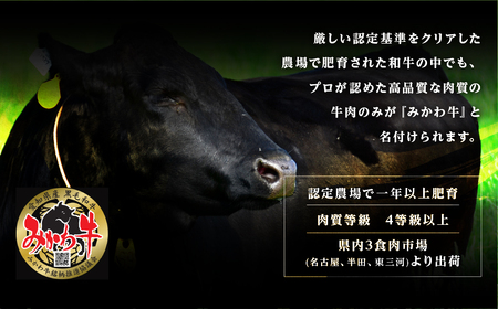 黒毛和牛 みかわ牛　切り落とし　1㎏