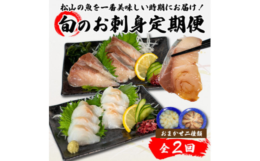 <秋からお届け> 【全2回】 旬のお刺身定期便 (2~3人前×2種類) 魚 切身 鮮魚 刺身セット 刺身2種盛り 刺身 お刺身 お刺し身 魚介 海の幸 小分け 個包装 冷凍 鯛 カワハギ スズキ イカ サワラ タコ ハマチ ヒラメ 愛媛県 松山市