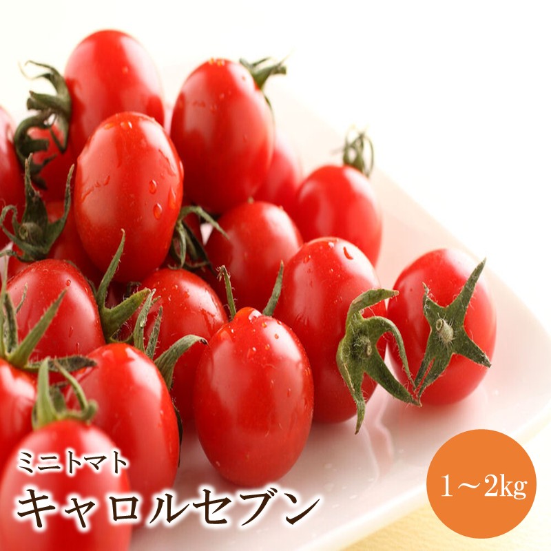 【ふるさと納税】ミニトマト キャロルセブン 1kg～2kg【和歌山産】《先行予約》 ふるさと納税 ミニトマト ふるさと納税 トマト 予約 先行予約 野菜 1キロ 2キロ