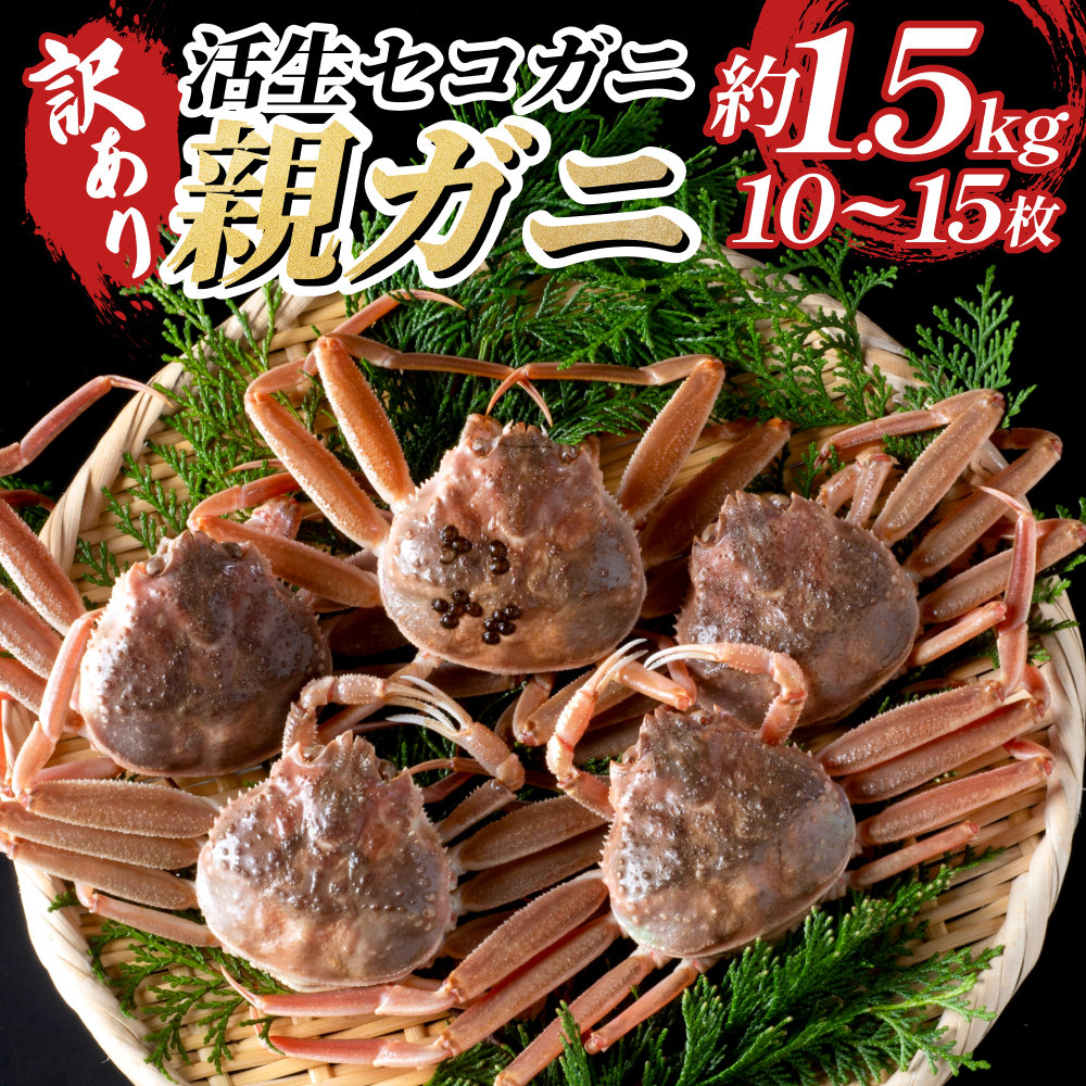 【22011-2】訳あり親がに（生）