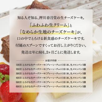 【定期便6回コース】とろける生チーズケーキ（プレーン・チョコ）+メロンパン【スイーツ ケーキ チーズケーキ プレーン チョコ 洋菓子 おまけつき お菓子 全6回】