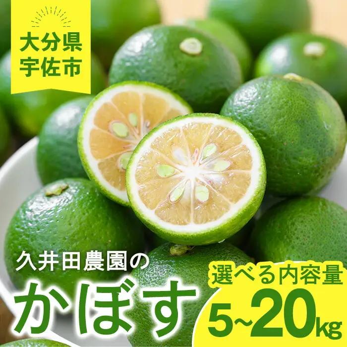＜先行予約受付中！2026年8月上旬以降順次発送予定＞かぼす(5kg)柑橘 かんきつ 大分県産直【112600100】【ａｎｄＫ】