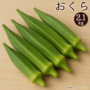 【ふるさと納税】オクラ　約2.1kg