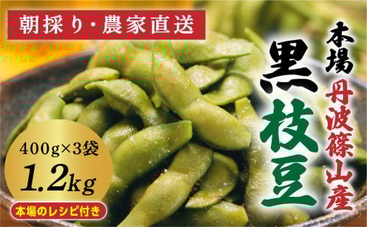 【2025年10月発送】令和7年度　丹波篠山黒枝豆 さやのみ 400gx3袋 1.2kg（朝採り・産地直送）　プレミアム枝豆 期間限定 黒枝豆 えだまめ エダマメ お取り寄せグルメ 高級 特産品 名産品 おつまみ おうち居酒屋