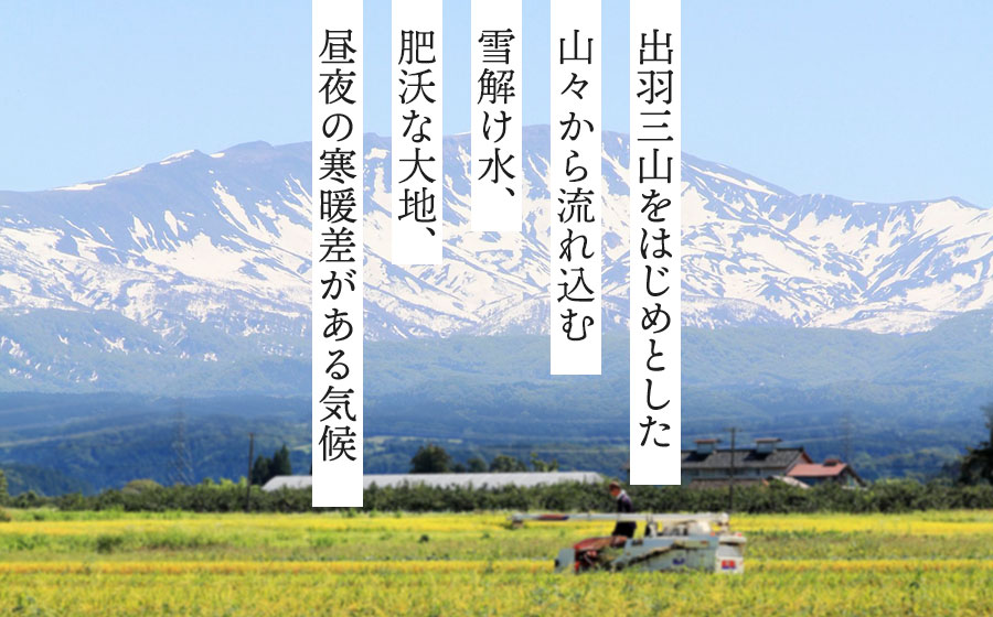 【冷凍】だだちゃ豆おむすび 10個 (プレミアム雪若丸精米使用） 冷凍おにぎり