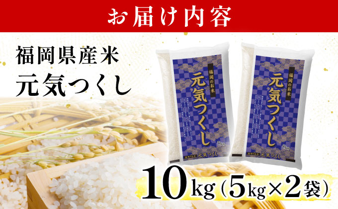 【最短7営業日以内発送】令和7年産 福岡県産米 元気つくし 10kg 精米 ※北海道・沖縄・離島は配送不可 CY012