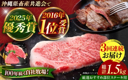 ステーキ 佐渡山牛 【全3回定期便】 厳選おすすめ部位 ステーキ肉 500g 肉のサブロー [BCBC005] 肉 お肉 おにく にく steak Steak 国産 和牛 すてーき ステーキ すてーき ステーキ肉 ブランド 牛 牛肉 赤身 国産牛 国産和牛 和牛 沖縄 ブランド 和牛 うし  牛 焼肉 焼き肉 やきにく BBQ バーベキュー 牛肉 バーベキュー BBQ 沖縄県 沖縄市 沖縄 九州