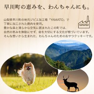 犬用おやつクッキー 犬用 犬 愛犬用 無添加クッキー ペットフード ドッグフード 手作り 鹿肉 ジビエ 加工品 無添加 おやつ 