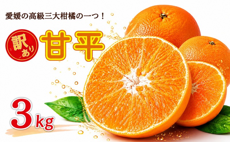 
                  【先行予約：2027年2月中旬～発送】 訳あり 甘平3kg みかん 蜜柑 mikan 甘平 ポンカン 高級 人気 ブランド 柑橘 果物 フルーツ 甘い おいしい お取り寄せ 産地直送 農家直送 国産 特産品 中山農園 愛媛県 愛南町
                