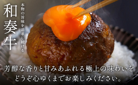 厳選くまもと黒毛和牛ハンバーグ 3個 (1個150g)《30日以内に出荷予定(土日祝除く)》和牛焼肉LIEBE くまもと 黒毛和牛 ハンバーグ