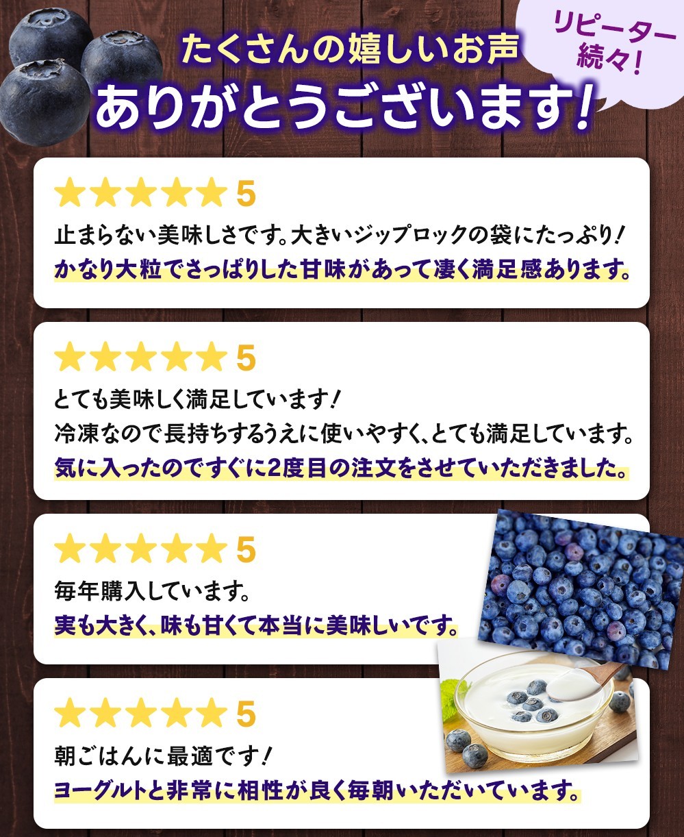冷凍 ブルーベリー 2kg 急速冷凍 フルーツ 果物 くだもの スムージー ジャム 朝食 デザート 特産品 人気 国産 旬 金山パイロットファーム 三重県 熊野市【knpr0010A】