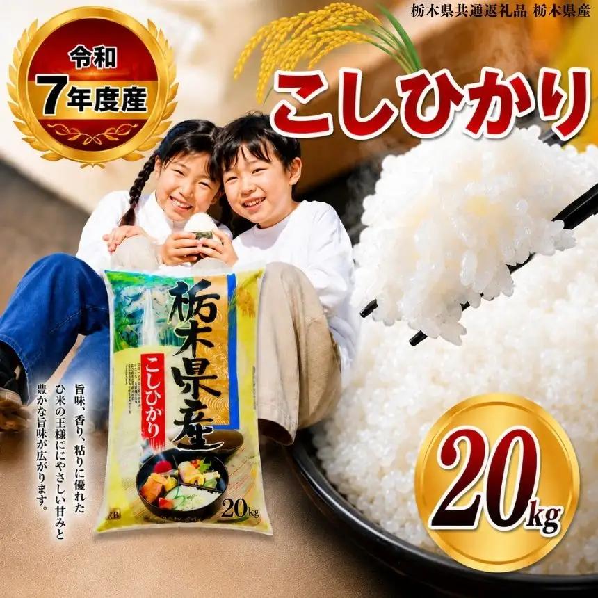 令和8年度産 栃木県産 こしひかり 5kg × 4袋 （合計20kg） | 【栃木県共通返礼品】送料無料 那珂川町 栃木県