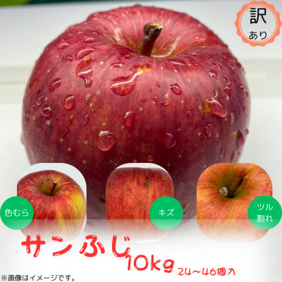 訳ありりんご【サンふじ】10kg(24～46個入)　【令和6年11月下旬～随時発送開始】【配送不可地域：離島・沖縄県】