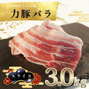 【ふるさと納税】【高知県 大月町産ブランド豚】力豚バラ　スライス 3kg