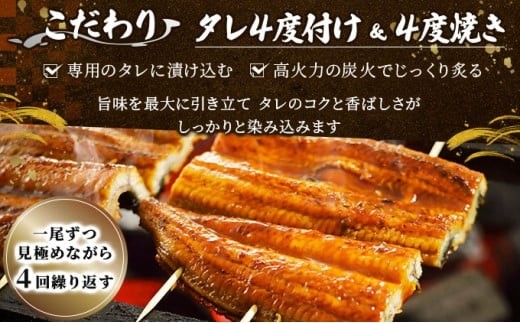 うなぎ人気ランキングの常連！国産うなぎ蒲焼