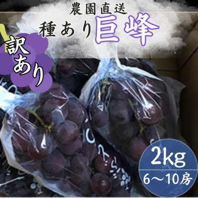 
                  ＜訳あり＞巨峰(種あり) 約2kg(6～10房)【1650294】
                
