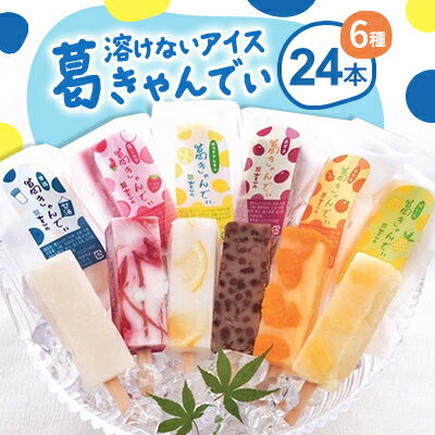 【ふるさと納税】溶けないアイス　葛きゃんでぃ24本入り_ 和菓子 スイーツ 冷菓 涼菓 美味しい 人気 おすすめ 送料無料 【配送不可地域：離島・沖縄県】【1494868】