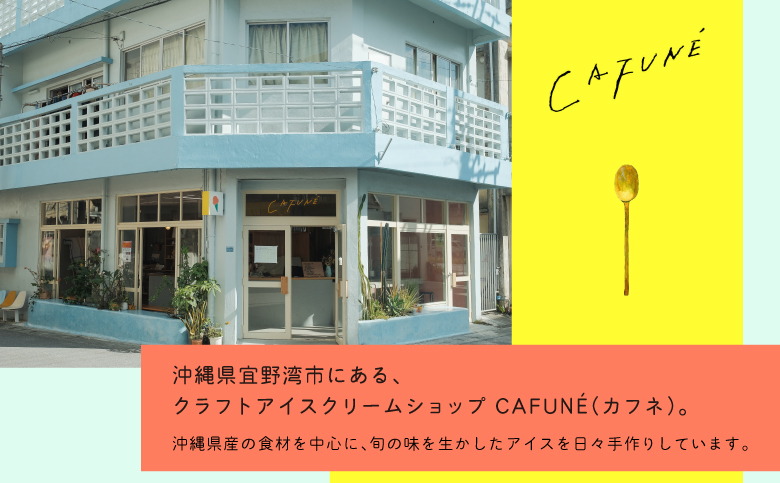 添加剤不使用 CAFUNÉ カフネ アイスクリーム 8個セット | 沖縄の食材 国産 厳選素材 沖縄素材 地産地消 手づくり アイス ハンドメイド クラフトアイスクリーム シャーベット | バニラ グ