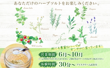 北海道 摘みたて ハーブソルト 作り 体験 ハーブ ソルト 塩 岩塩 調味料 調味塩 オリジナル ハーブ畑 天然 乾燥ハーブ ドライハーブ 料理 ハーバルランチ 送料無料 洞爺湖 
