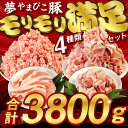 【ふるさと納税】豚肉 合計 3.8kg ( 3800g )「やまびこ豚」モリモリ満足セット ( 豚小間切 2kg 豚ミンチ 1kg 豚ロースカツ 500g 豚バラ角切 300g ) 豚肉 小分け 真空パック 豚バラ 豚こま 豚 小間切れ しゃぶしゃぶ 冷凍 送料無料