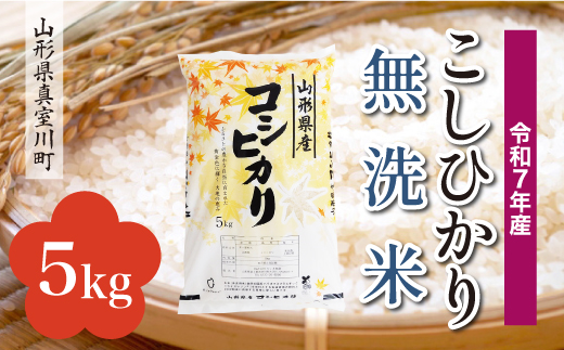 ＜令和7年産＞ こしひかり 【無洗米】5kg （5kg×1袋）＜配送時期選べます＞　真室川町