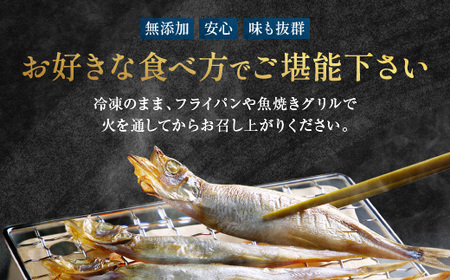 【数量限定！】 子持ち カラフトシシャモ 3kg (500g×6袋) 訳アリ シシャモ ししゃも カラフトししゃも 大洗 規格外 訳あり わけあり 傷_AV011