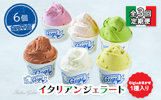 
            【定期便3回】 ジェラテリアGigi イタリアンジェラート 6種 おまかせ入り 計6個 セット ジェラート 牛乳 ピスタチオ 抹茶 チョコレート ブルーベリーヨーグルト おまかせ カップ 定期便 3回 ふるさと納税 北海道【43006801】
          