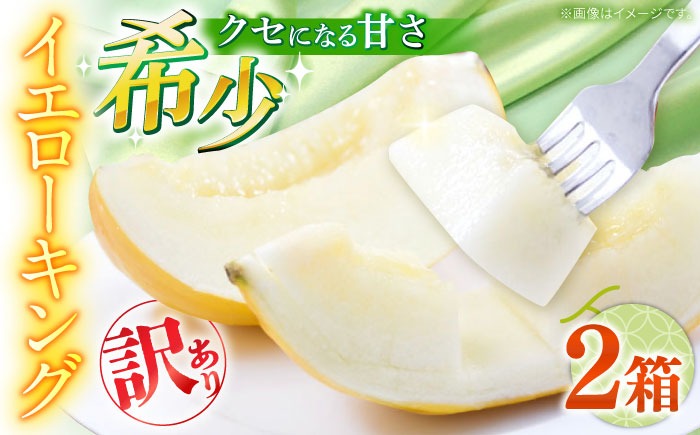 【2026年5月〜発送】訳あり メロン イエローキング 2箱 （1箱 3～6玉）/ メロン めろん フルーツ 果物 / 南島原市 / 南島原果物屋[SCV043]