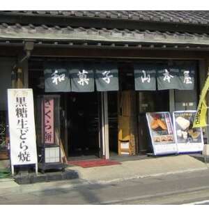 【5個入り】小山市の名店山本屋黒糖どら焼き　5種類【配送不可地域：離島】【1476712】