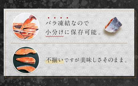 訳あり 銀鮭 切身 甘口 (不揃い) 約1kg 鮭 冷凍 ss00006