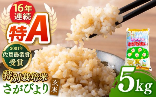 【特別栽培米】令和7年産 ももちゃんちのお米 さがびより  玄米 5kg 【ももさき農産】 [HCG004]