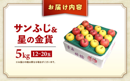 青森県産りんご サンふじ＆星の金貨 セット 約5kg 11月中旬～ りんご
