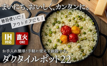 IH対応 鉄 鍋 フライパン ダクタイルポット 22cm 鉄器 錆びにくい 超軽量 アウトドア BBQ キャンプ ダッチオーブン 直火 万能鉄鍋 岩手県 北上市  O0102 (岩手製鉄) 