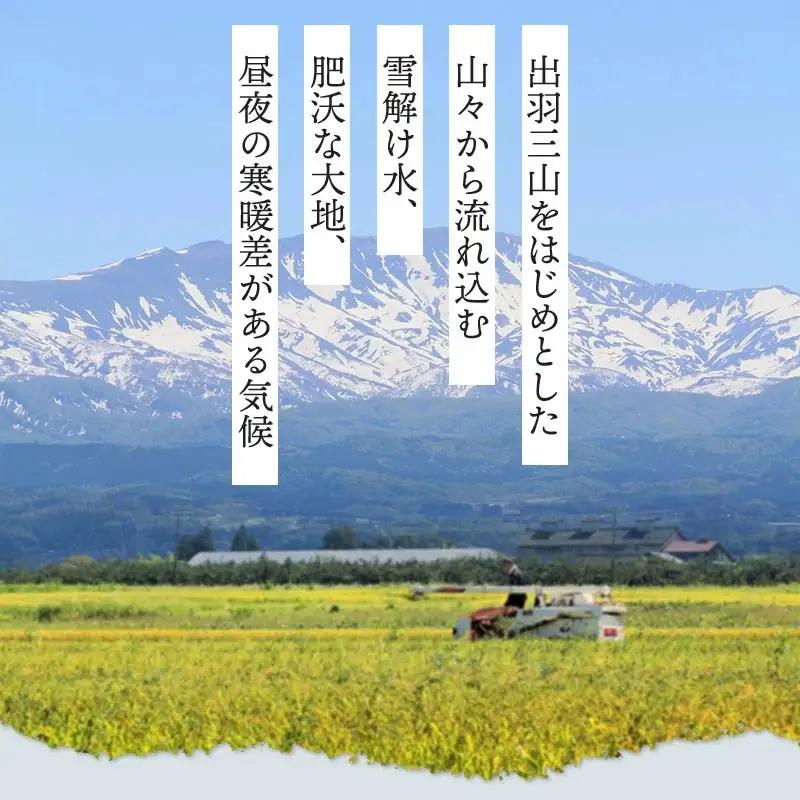 【冷凍】でわのもち使用　もち米玄米おむすび　20個（5種×各2個×2セット） | おにぎり 冷凍 もち米玄米 玄米 食品 ご飯 簡単 便利 お手軽 レンジ 山形県 鶴岡市 返礼品