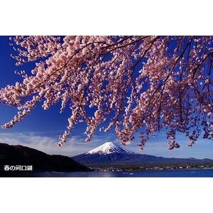 【富士河口湖町】JTBふるさと旅行券（90,000円分）有効期間5年 | 予約 宿泊 観光 体験 温泉 ホテル 旅館 チケット 子供 子連れ カップル 家族 店頭 電話 河口湖