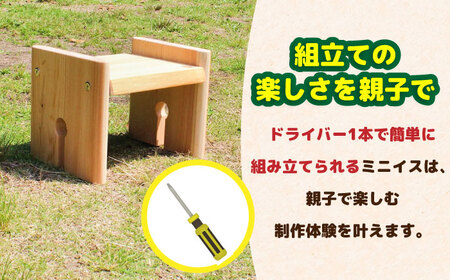 ひのき 組立て ミニイス 「すとん」 ヒノキ いす 亀山市/三栄林産株式会社 椅子 DIY[AMAD004]