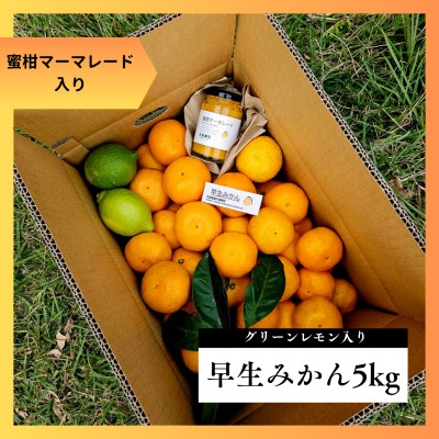 
                  蜜柑マーマレード&グリーンレモン入り★早生みかん5kg★甘味と酸味のバランス良くジューシー!【1687662】
                