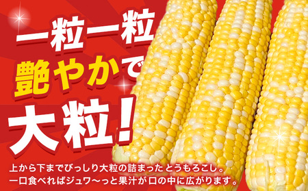 朝採り とうもろこし ビーナスコーン 20本 山下農場 北海道本別町