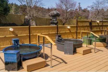 美人の湯しろとり かみほの湯　温泉入館回数券(10回)2冊