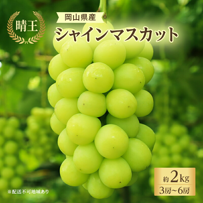 【ふるさと納税】ぶどう 2026年 先行予約 シャイン マスカット 晴王 3房～6房 約2kg 8月下旬～11月下旬発送 ブドウ 葡萄 岡山県産 国産 フルーツ 果物 ギフト 　お届け：2026年8月下旬～2026年11月下旬
