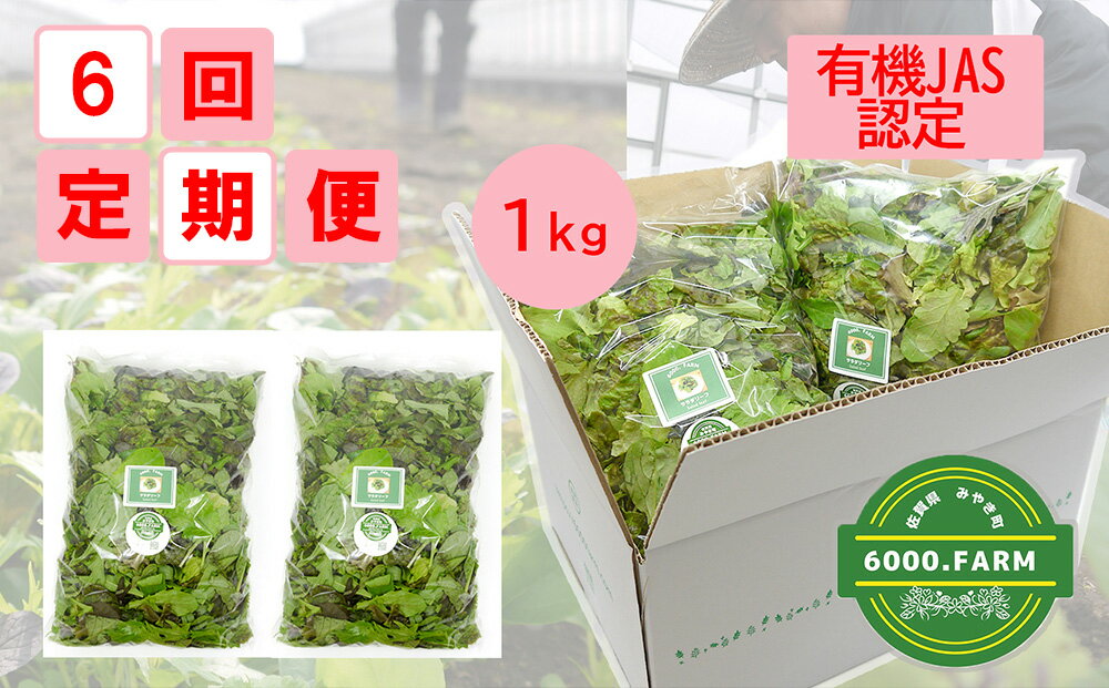 【ふるさと納税】【6回定期便】【飲食店御用達】有機JAS認証サラダリーフMix(500g×2袋　合計1kg）新鮮 野菜 直送（FV012）
