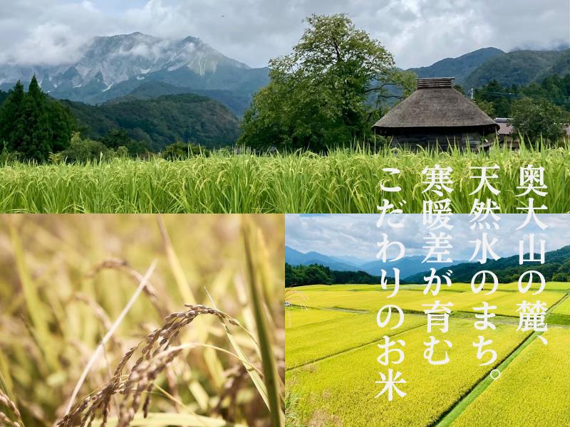 米 こしひかり5kg×2 計10キロ 鳥取県江府町産 こめ 精米 コシヒカリ 令和7年産 送料無料 0909