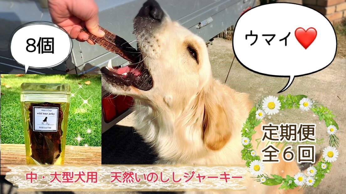 【ふるさと納税】中〜大型犬向け☆天然いのししスモークジャーキー8個【定期便】全6回（FB091）